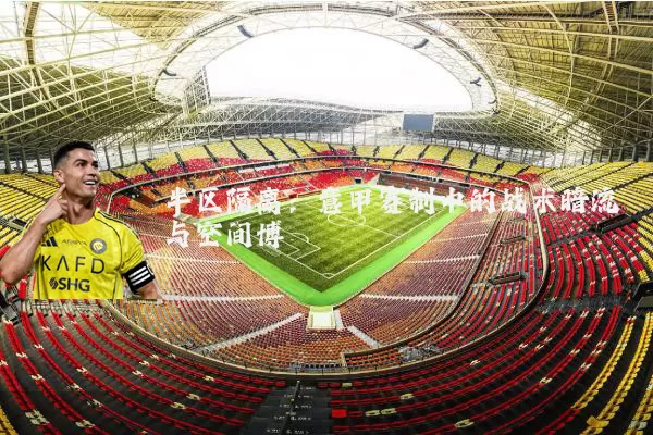半区隔离:意甲赛制中的战术暗流与空间博弈